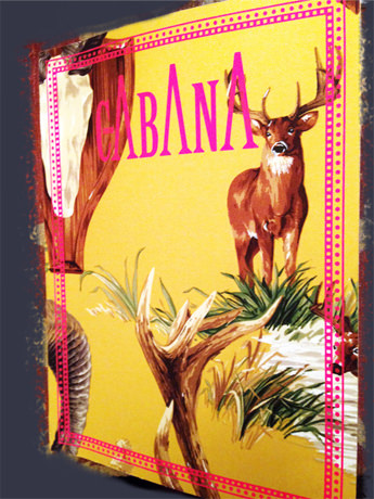 Cabana 1rst Issue  Idarica Gazzoni ‘s House   Thank you Cabana !