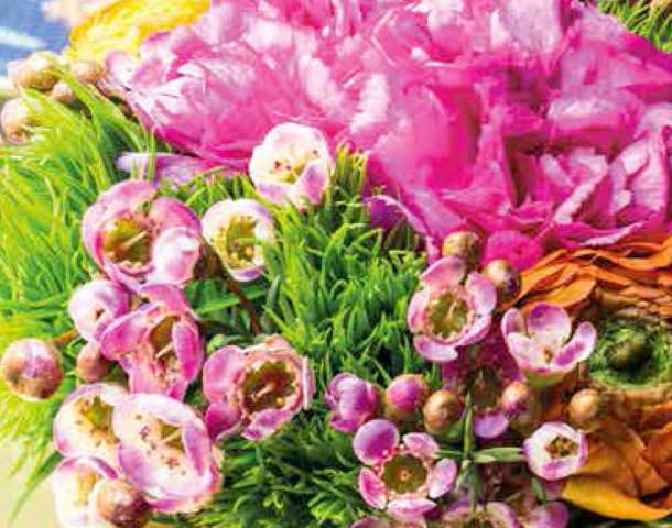 Grazie a  Gardenia per aver scelto ArjumandsWorld Store per questa storia di primavera